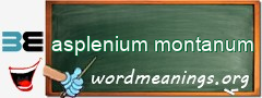 WordMeaning blackboard for asplenium montanum